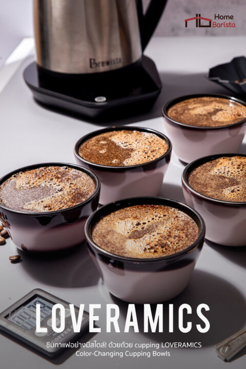 เซ็ทถ้วยชิมกาแฟ Loveramics "Classic" Color-Changing Cupping Bowls เปลี่ยนสีตามอุณหภูมิน้ำ (เลือก Pack Size) - Image 2