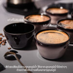 เซ็ทถ้วยชิมกาแฟ Loveramics "Classic" Color-Changing Cupping Bowls เปลี่ยนสีตามอุณหภูมิน้ำ (เลือก Pack Size) - Image 5