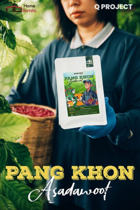 [NEW!] เมล็ดกาแฟ Filter Roast [100g] - Q Project "Asadawoot" Pang Khon Anaerobic Washed Process - Image 4