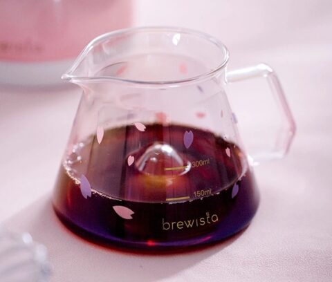 เหยือกเสิร์ฟ Brewista X-Series 300ml Cyclone Bottom Glass Server (1-2 Cups) - Image 5