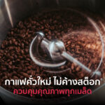 [NEW!] เมล็ดกาแฟ Specialty [100g] - Q Project Omkoi "Seksan" (อมก๋อย) - Image 3