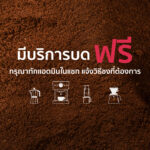 [NEW!] เมล็ดกาแฟ Specialty [100g] - Q Project Omkoi "Seksan" (อมก๋อย) - Image 4