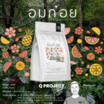 [NEW!] เมล็ดกาแฟ Specialty [100g] - Q Project Omkoi "Wish Junprasert" (อมก๋อย)