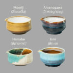 TOMOCHA ชามชงชา ทรงเตี้ย พร้อมปากเท Matcha Stirring Bowl with Spout (Color Choice) - Image 5