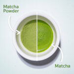 [Cafe Bestseller - มี 2 ตัวเลือก!] ผงชาเขียวมัทฉะบริสุทธิ์ TOMOCHA 100% Kyoto Uji CLASSIC & Uji PLUS Matcha Powder สำหรับเครื่องดื่ม (for BEVERAGE) เกรด Classic - Image 4