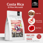 [NEW!] เมล็ดกาแฟ Filter Roast [100g] - COSTA RICA "El Pilon Micromill" Caturra Black Honey