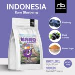 Indonesia Karo Blueberry Special Process